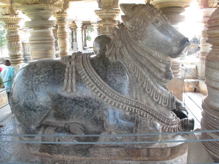 A Nandi Bull at Belur