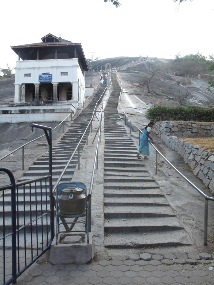 IMG_5109 The View from the Bottom